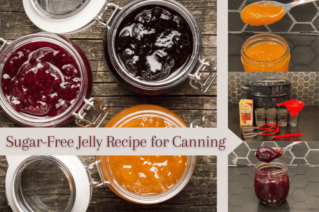 apricot jam, mixed berry jelly, and blackberry jelly finished product from sugar free jelly recipe for canning